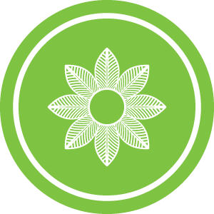 Quy tắc ứng xử